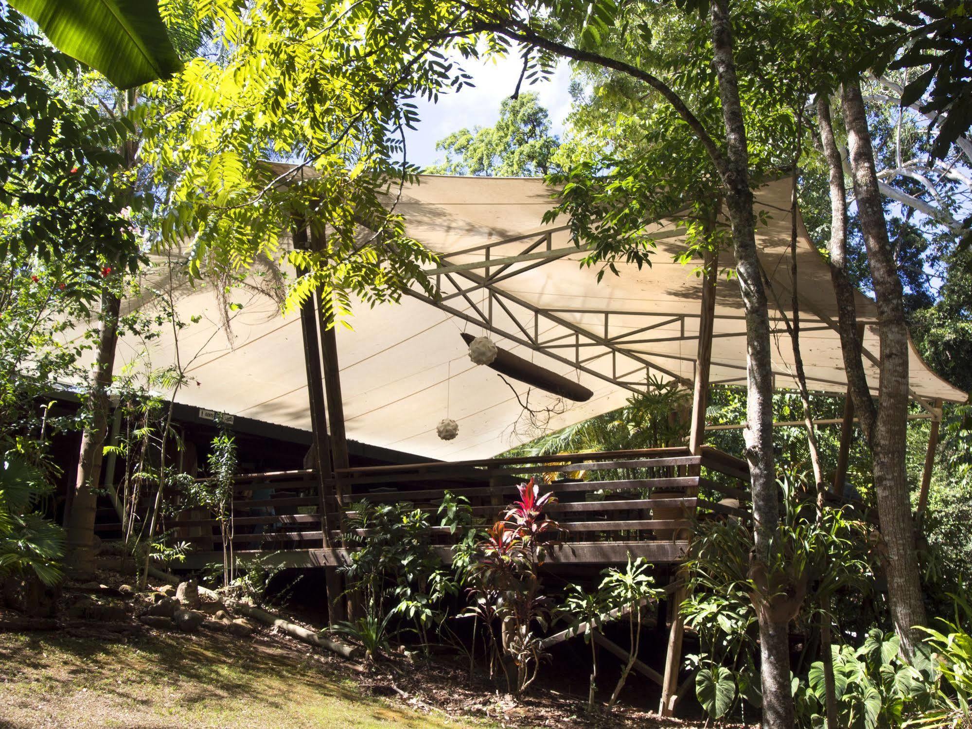 Cedar Park Rainforest Resort Koah Zewnętrze zdjęcie